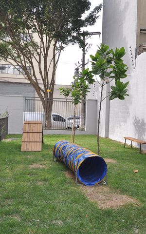 Apartamento para alugar com 42m², 2 quartos e 1 vagaPet Place
