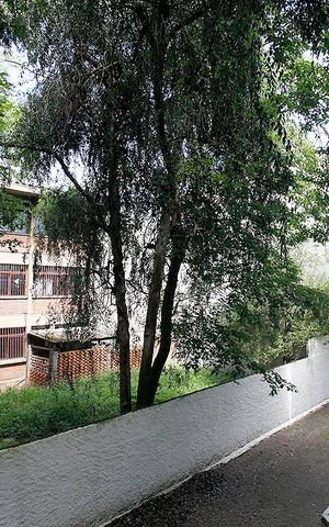 Apartamento à venda com 55m², 2 quartos e sem vagaQuarto 1 Vista