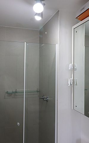 Apartamento para alugar com 56m², 2 quartos e 1 vagaBanheiro da Suíte
