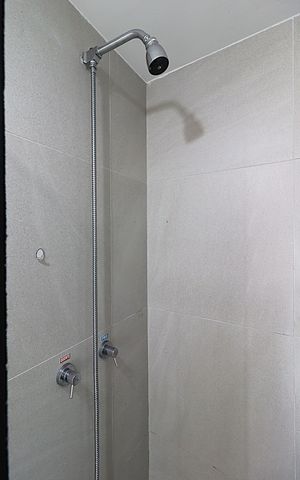 Apartamento para alugar com 56m², 2 quartos e 1 vagaBanheiro Social