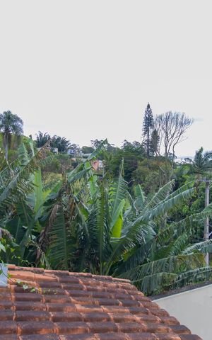 Casa de condomínio para alugar com 98m², 3 quartos e 2 vagas Casa de condomínio para alugar com 98m², 3 quartos e 2 vagasVista do Quarto 1