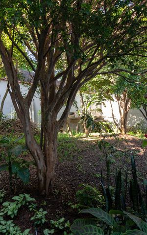 Casa para alugar com 300m², 3 quartos e 6 vagasJardim