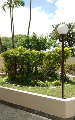 Apartamento à venda com 56m², 2 quartos e 1 vagaÁrea comum