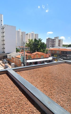 Apartamento para alugar com 67m², 2 quartos e 1 vagaVaranda - Vista