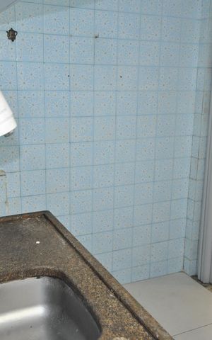 Apartamento para alugar com 54m², 3 quartos e sem vagaCozinha