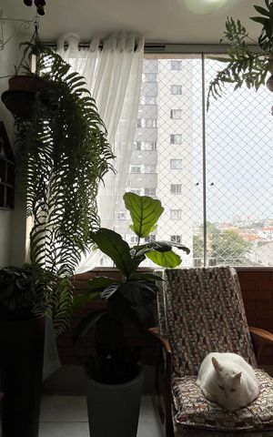 Apartamento à venda com 70m², 2 quartos e 1 vaga Apartamento à venda com 70m², 2 quartos e 1 vagaVaranda