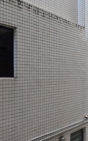 Apartamento para alugar com 146m², 3 quartos e 2 vagasVista do Àrea de Serviço