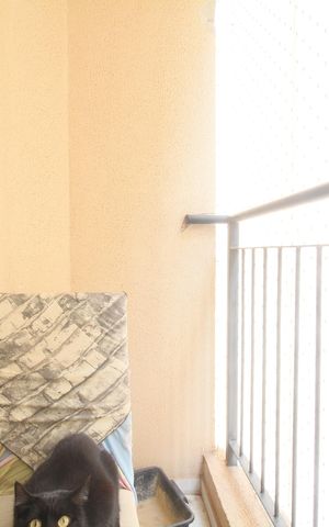 Apartamento à venda com 49m², 2 quartos e 1 vagaVaranda Sala