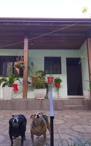 Casa para alugar com 138m², 4 quartos e 1 vagaCasa Anexa