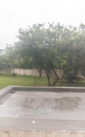 Apartamento para alugar com 56m², 2 quartos e 1 vaga Apartamento para alugar com 56m², 2 quartos e 1 vagaVista do Quarto 1