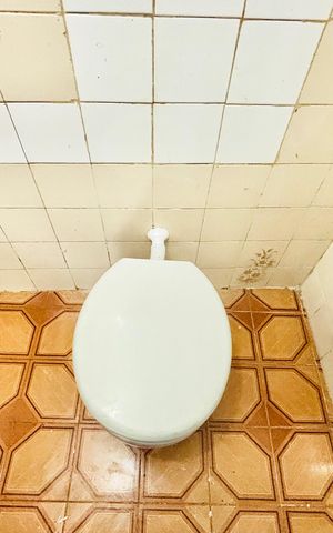Casa para alugar com 60m², 1 quarto e sem vagaBanheiro