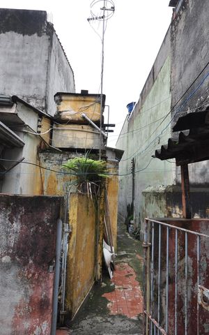 Casa para alugar com 50m², 1 quarto e sem vagaVista do Quarto