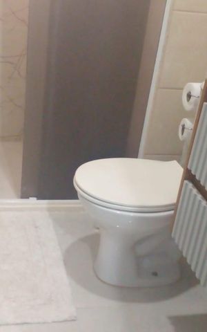 Apartamento para alugar com 50m², 2 quartos e 1 vaga Apartamento para alugar com 50m², 2 quartos e 1 vagaBanheiro