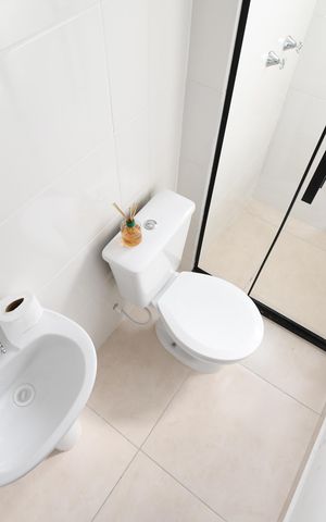 Apartamento para alugar com 51m², 2 quartos e sem vagaBanheiro
