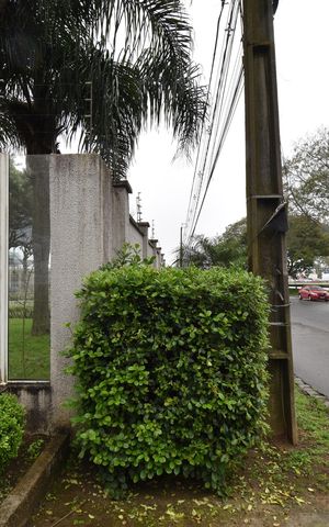 Apartamento para alugar com 49m², 2 quartos e 1 vagaPlaca