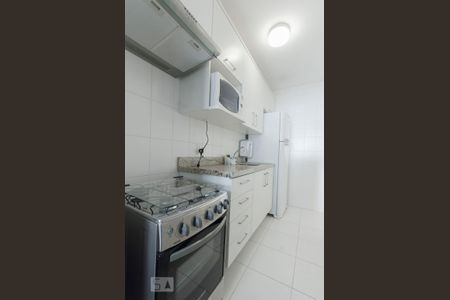 cozinha de apartamento para alugar com 2 quartos, 57m² em Bela Vista, São Paulo