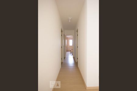 Corredor para os quartos de apartamento para alugar com 3 quartos, 78m² em Swift, Campinas