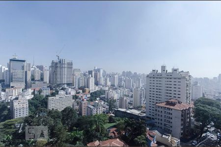 vista sala de apartamento para alugar com 1 quarto, 35m² em Morro dos Ingleses, São Paulo