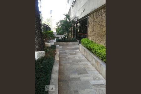 Apartamento à venda com 2 quartos, 65m² em Cambuci, São Paulo