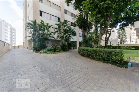 Apartamento para alugar com 115m², 3 quartos e 1 vagaArea externa