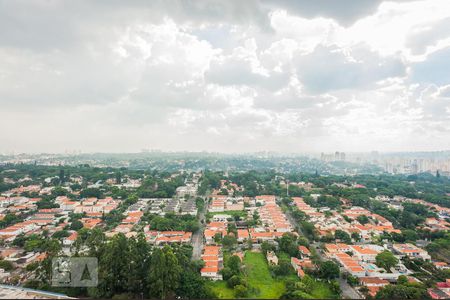 Linda Vista  de apartamento para alugar com 1 quarto, 51m² em Parque Colonial, São Paulo