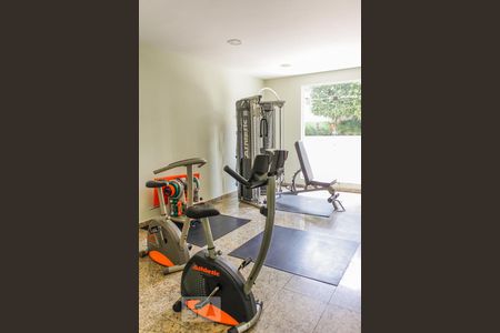 Apartamento para alugar com 86m², 3 quartos e 1 vaga Apartamento para alugar com 86m², 3 quartos e 1 vagaAcademia