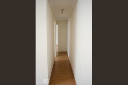 Corredor de apartamento à venda com 2 quartos, 55m² em Jardim Nova Europa, Campinas