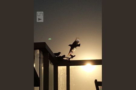 Apartamento para alugar com 126m², 1 quarto e 2 vagas Apartamento para alugar com 126m², 1 quarto e 2 vagasCanto dos pássaros