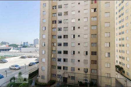 Visa de apartamento para alugar com 2 quartos, 44m² em Água Branca, São Paulo