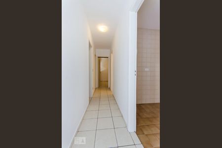 Corredor de apartamento para alugar com 3 quartos, 72m² em Vila Ipojuca, São Paulo