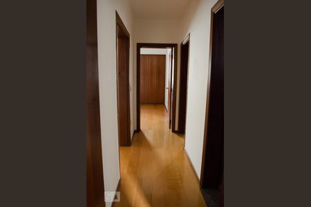 Corredor de apartamento para alugar com 2 quartos, 100m² em Cambuí, Campinas