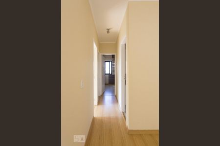 Corredor de apartamento para alugar com 3 quartos, 70m² em Cambuci, São Paulo
