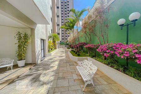 Apartamento para alugar com 185m², 3 quartos e 2 vagasArea Comun