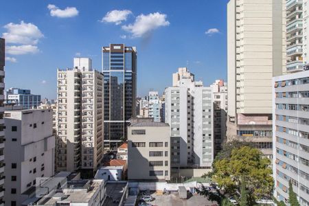 Vista de apartamento para alugar com 1 quarto, 52m² em Santa Cecília, São Paulo