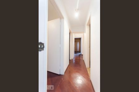 Corredor de apartamento para alugar com 3 quartos, 92m² em Vila Ipojuca, São Paulo