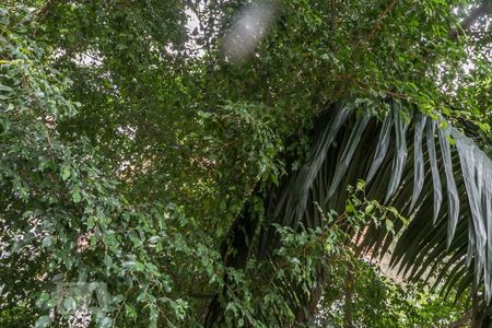 Apartamento à venda com 75m², 2 quartos e 1 vagaVista