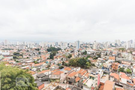 Vista de apartamento para alugar com 1 quarto, 44m² em Sumarezinho, São Paulo