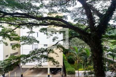 Vista da Suíte de apartamento para alugar com 3 quartos, 86m² em Jabaquara, São Paulo