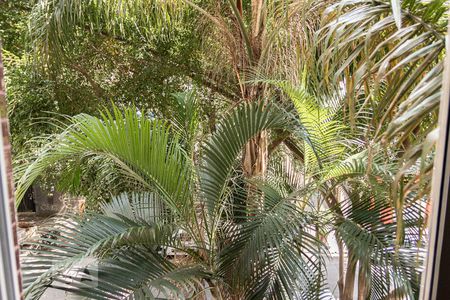 Apartamento à venda com 74m², 2 quartos e 1 vagaQuarto 1 