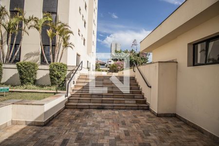 Apartamento para alugar com 87m², 3 quartos e 2 vagasÁrea Comum