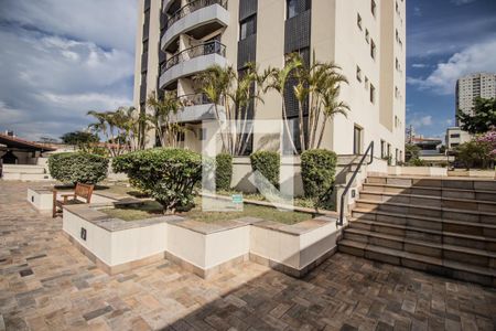 Apartamento para alugar com 87m², 3 quartos e 2 vagasÁrea Comum