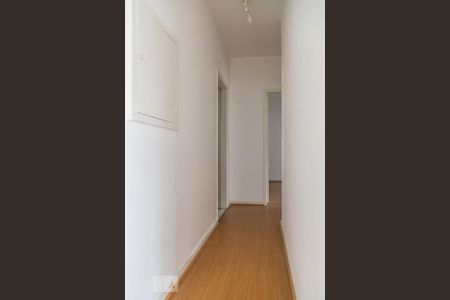 Corredor de apartamento para alugar com 2 quartos, 99m² em Cambuci, São Paulo