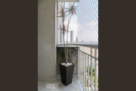 Varanda de apartamento à venda com 2 quartos, 53m² em Cambuci, São Paulo