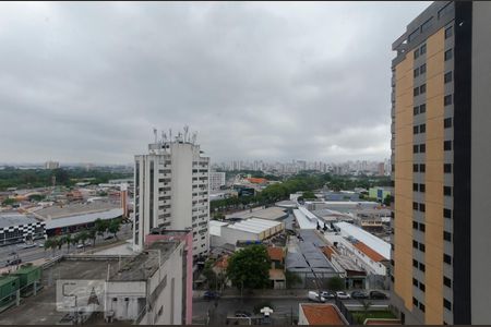 Apartamento para alugar com 3 quartos, 90m² em Casa Verde, São Paulo