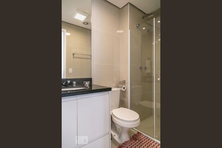 Banheiro de apartamento para alugar com 2 quartos, 135m² em Vila Mariana, São Paulo