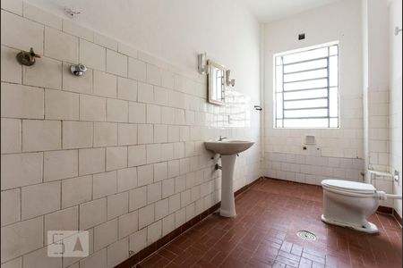 Banheiro de apartamento para alugar com 2 quartos, 120m² em Cambuci, São Paulo
