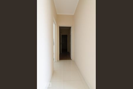 Corredor de apartamento para alugar com 3 quartos, 84m² em Cambuí, Campinas