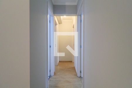 Corredor de apartamento para alugar com 3 quartos, 70m² em Vila Suzana, São Paulo