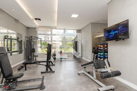 Academia de apartamento para alugar com 3 quartos, 124m² em Vila Congonhas, São Paulo