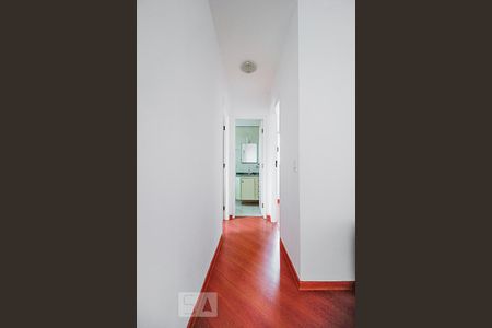 Corredor de apartamento para alugar com 2 quartos, 54m² em Vila Mariana, São Paulo